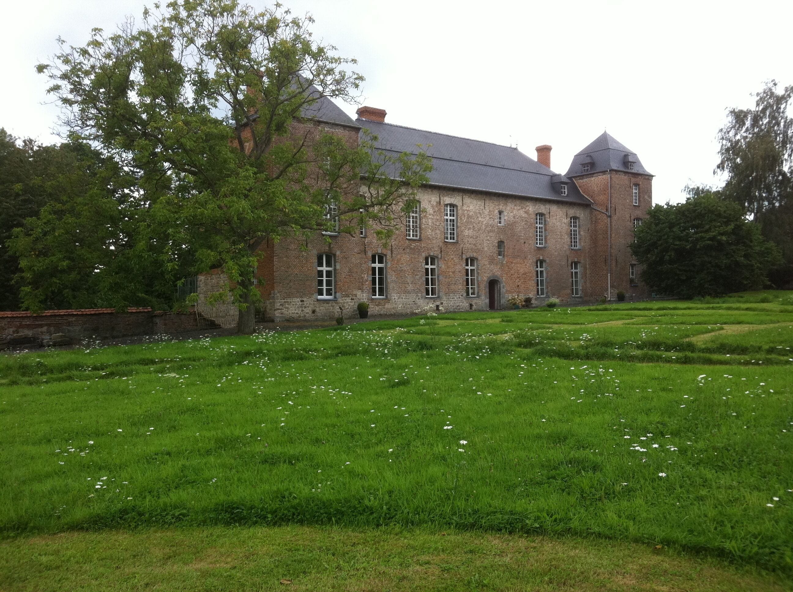 A large brick building with a tower, surrounded by a grassy field with white flowers.