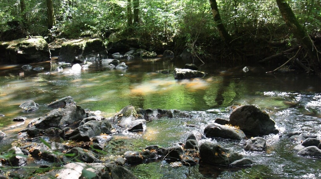 If you want to make some hike or mountain bike or ride horse It’s an ideal place .