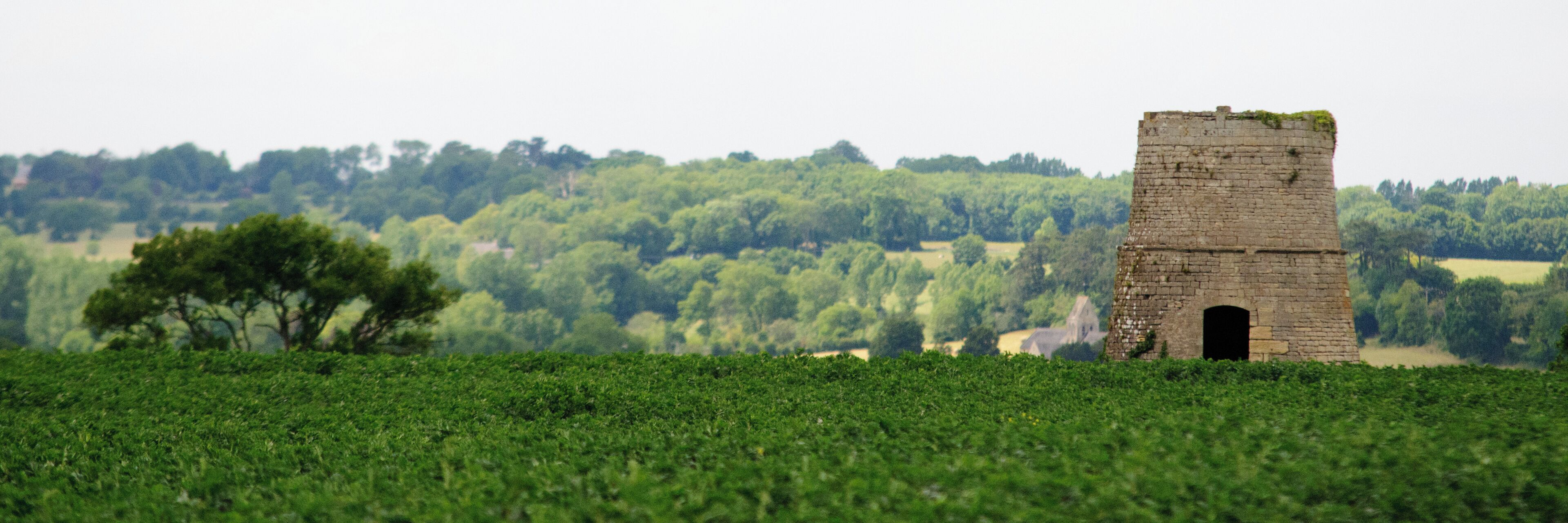 A tower amidst a lush green field with trees in the background.