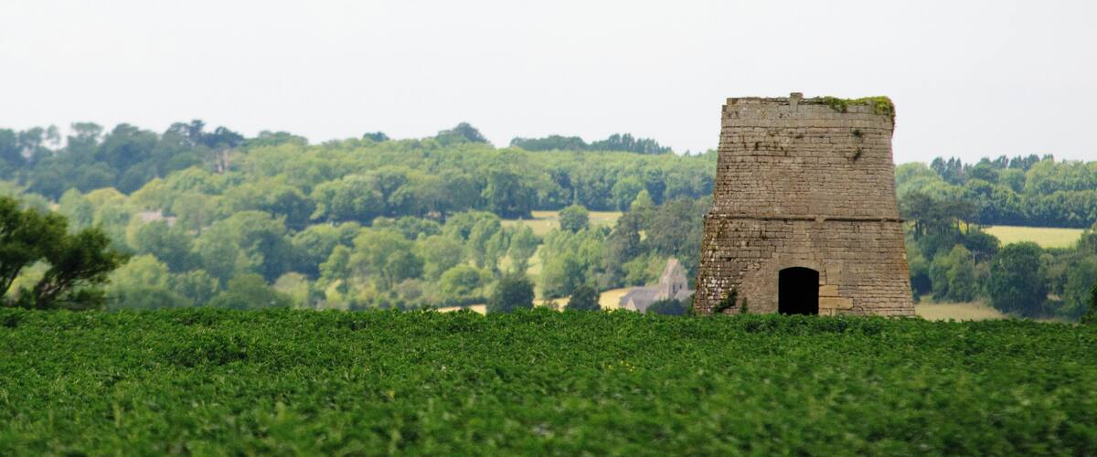 A tower amidst a lush green field with trees in the background.