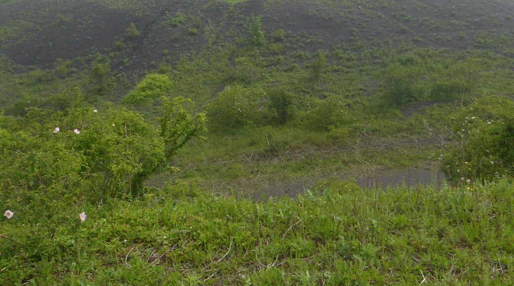 Terrils nos 2 et 3 dit 6 de Bruay Est et Ouest, Fosse n° 6 - 6 bis - 6 ter de la Compagnie des mines de Bruay, Ruitz et Haillicourt, Pas-de-Calais, Nord-Pas-de-Calais, France.