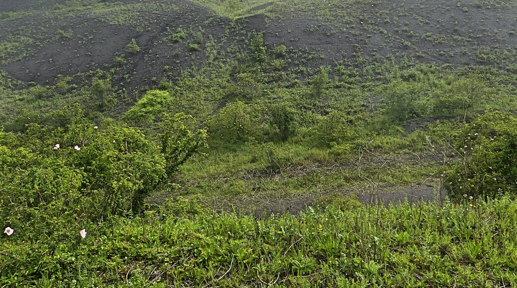 Terrils nos 2 et 3 dit 6 de Bruay Est et Ouest, Fosse n° 6 - 6 bis - 6 ter de la Compagnie des mines de Bruay, Ruitz et Haillicourt, Pas-de-Calais, Nord-Pas-de-Calais, France.