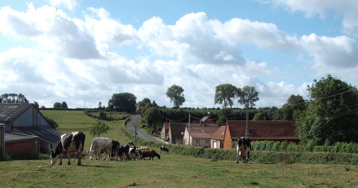 A rural landscape with a herd of cows grazing, houses, and a winding road.