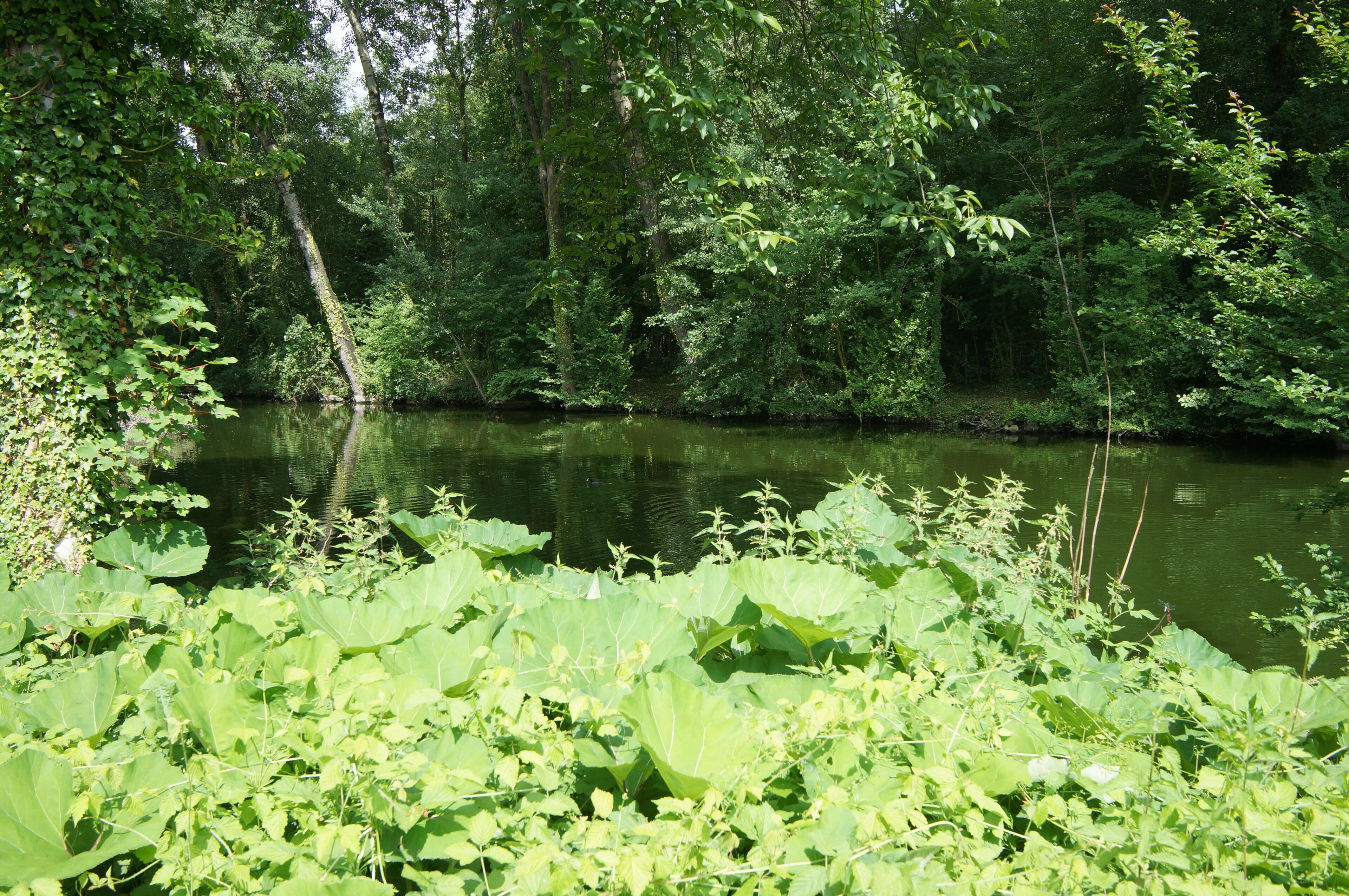 L'espace naturel départemental (EDEN62) de Feuchy