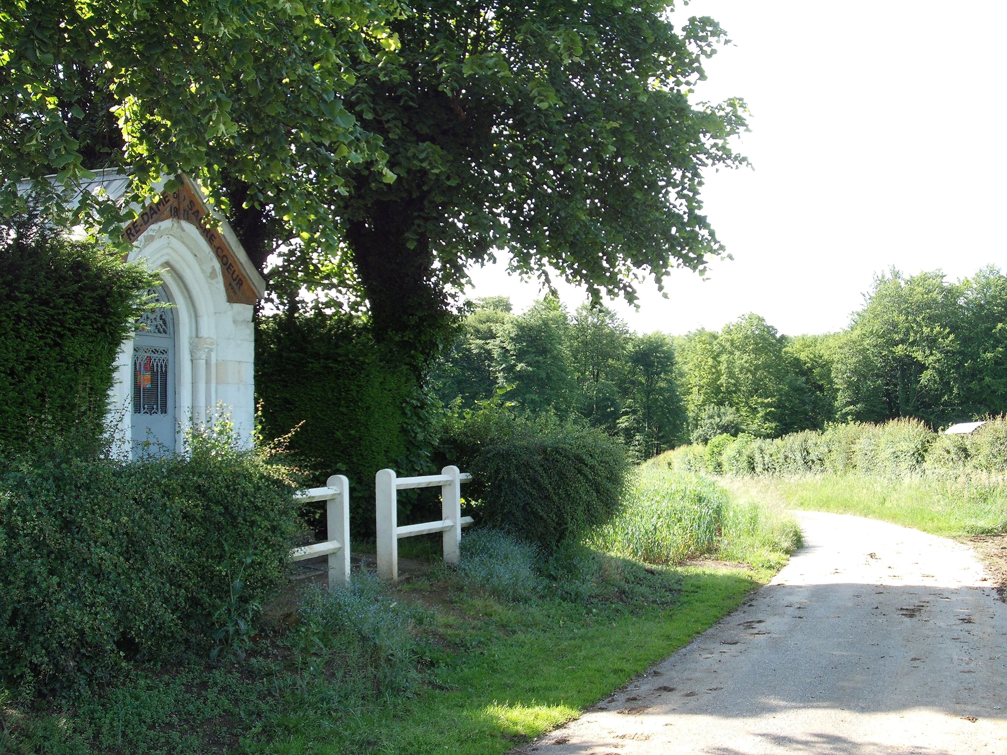 A white church with a large tree in front, surrounded by greenery and a gravel path.