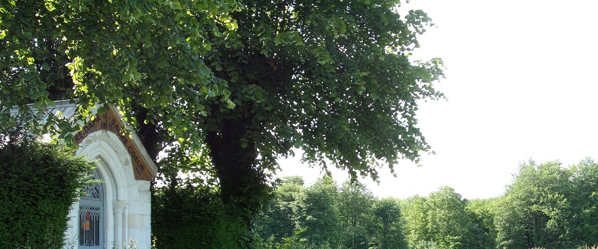 A white church with a large tree in front, surrounded by greenery and a gravel path.