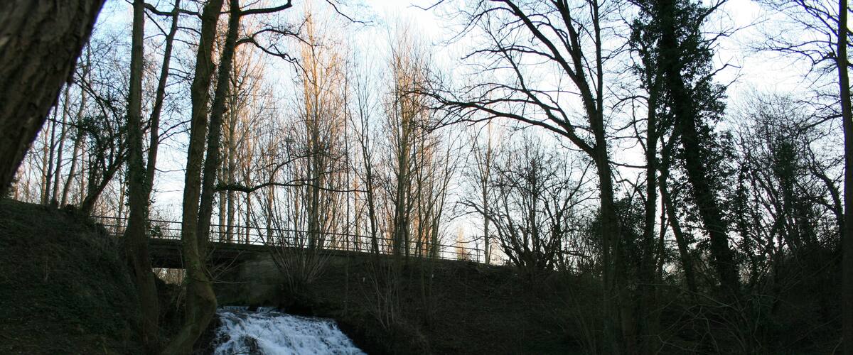 A waterfall in a forested area with a bridge in the background.