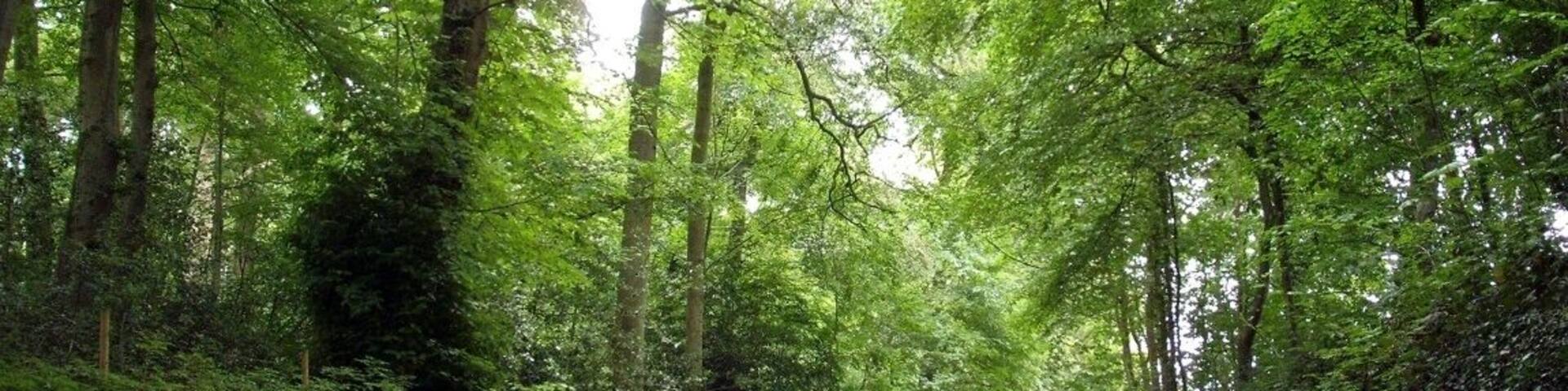 62610 Louches, France