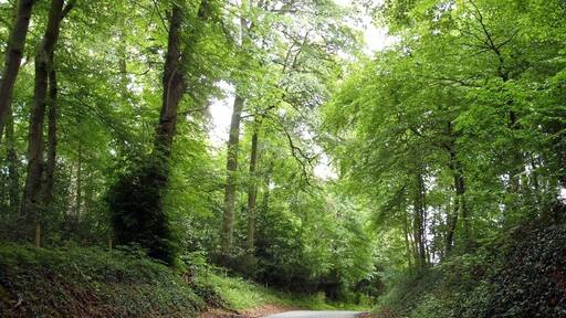 62610 Louches, France