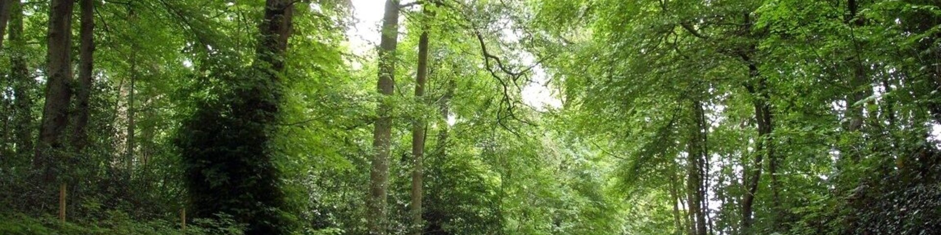 62610 Louches, France