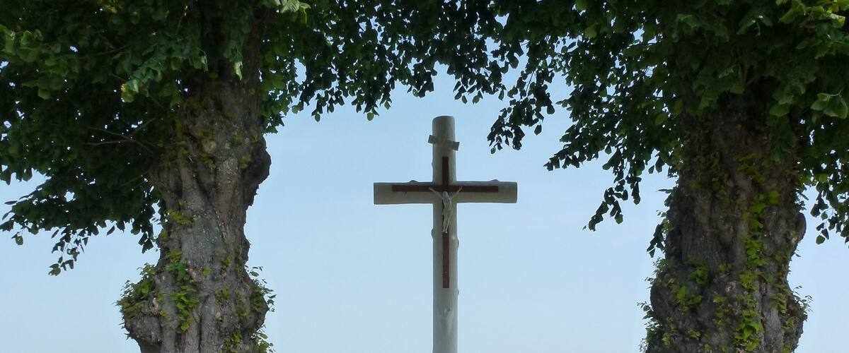 A cross monument surrounded by trees and bushes.