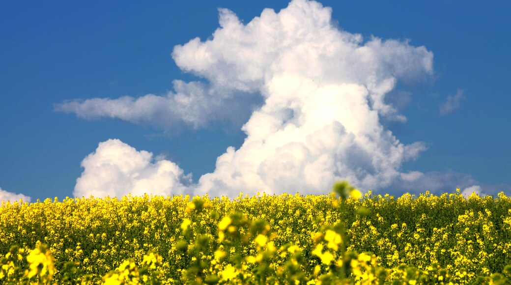 steve-c-foto.fr/portfolio-paysage/picard/