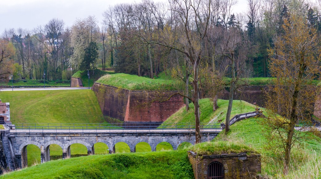 แฟริแยร์-ลา-กรองด์