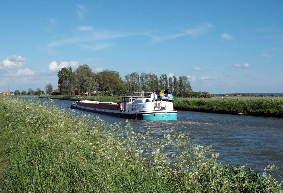 A narrowboat on a canal surrounded by greenery and trees.