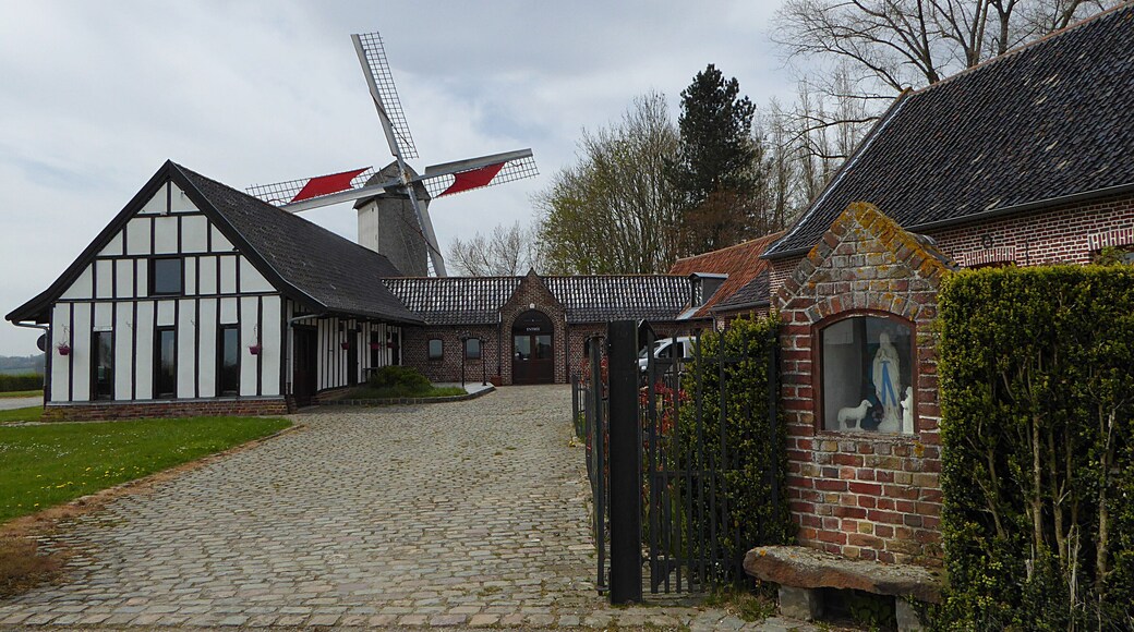 Le moulin de la Roome Terdeghem, Nord, Pays des Moulins de Flandre France (2016).