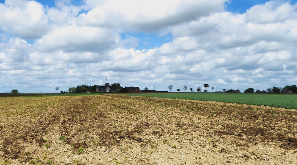 Terdeghem.- Hauts-de-France, France.
