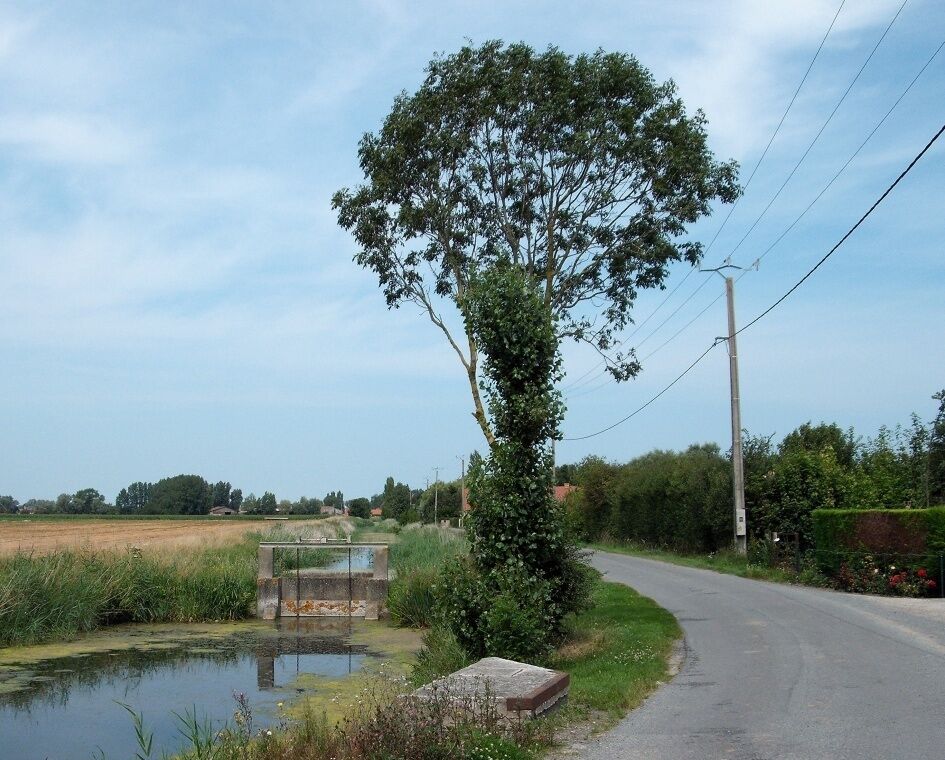 Watergang (Chemin du Houlet)