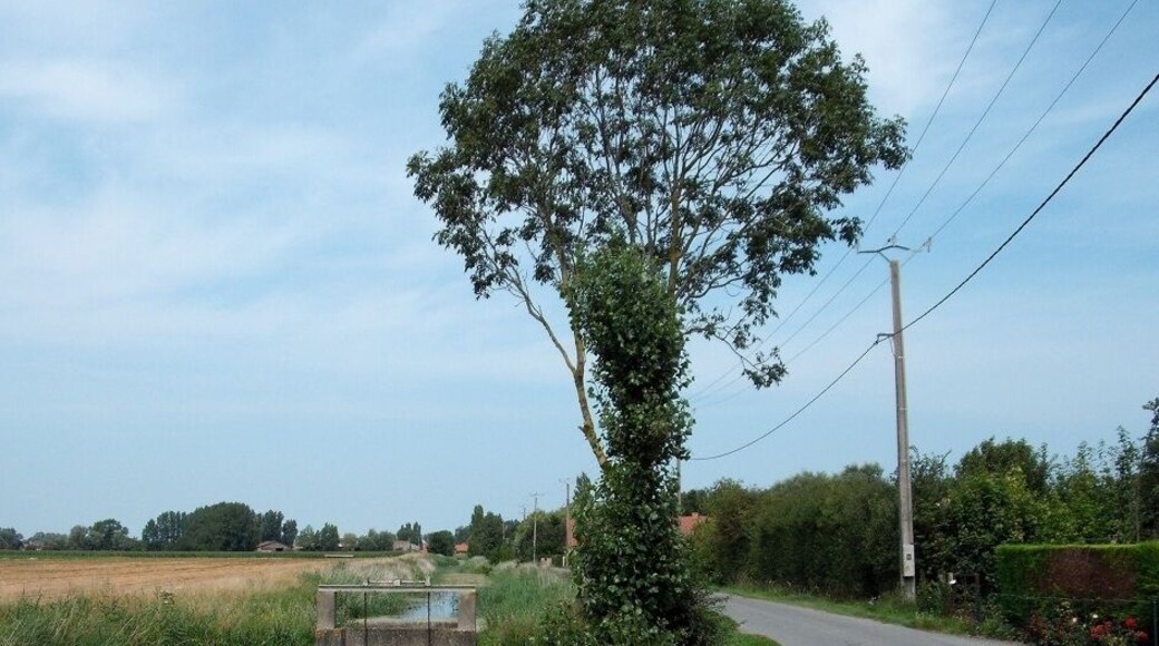 Watergang (Chemin du Houlet)