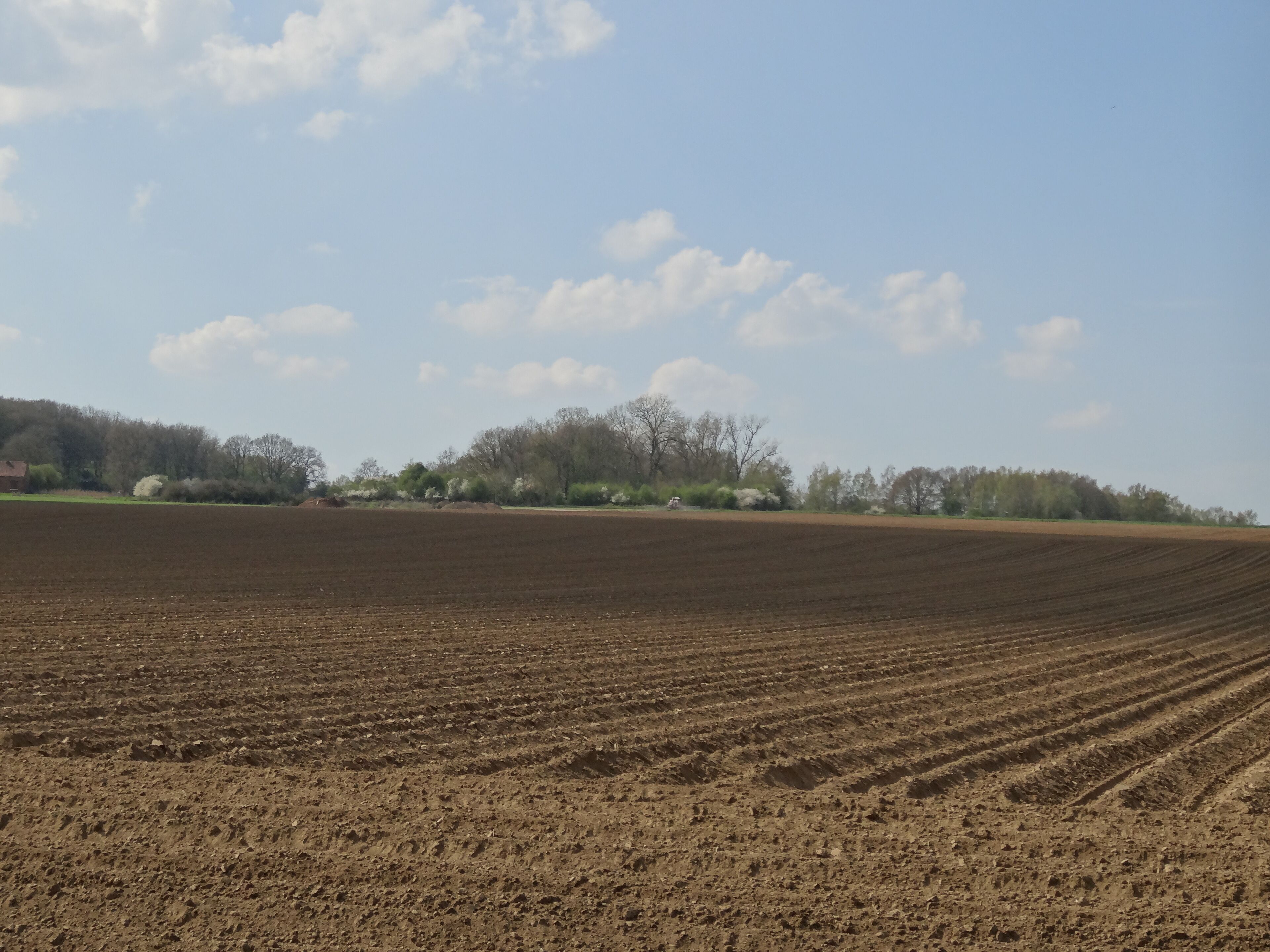 Terril n° 223 dit Ex Sablière, centrale thermique de Chocques du Groupe d'Auchel dans le bassin minier du Nord-Pas-de-Calais, Chocques, Pas-de-Calais, Nord-Pas-de-Calais, France.