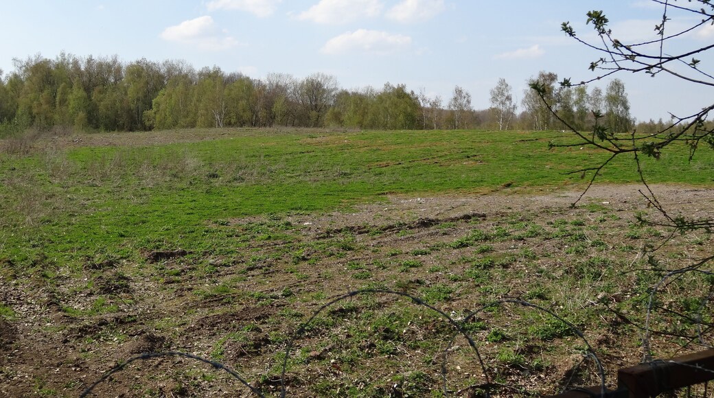 Terril n° 223 dit Ex Sablière, centrale thermique de Chocques du Groupe d'Auchel dans le bassin minier du Nord-Pas-de-Calais, Chocques, Pas-de-Calais, Nord-Pas-de-Calais, France.