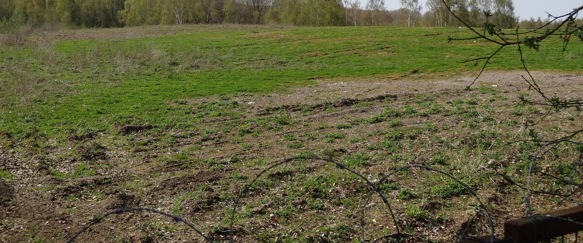 A grassy field with a dirt path and trees in the background.