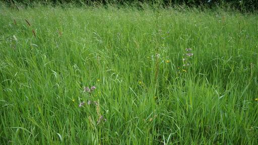 La Réserve naturelle régionale du vallon de la Petite Becque.- Le Circuit des 5 Becques Herzeele.- Nord (département français)