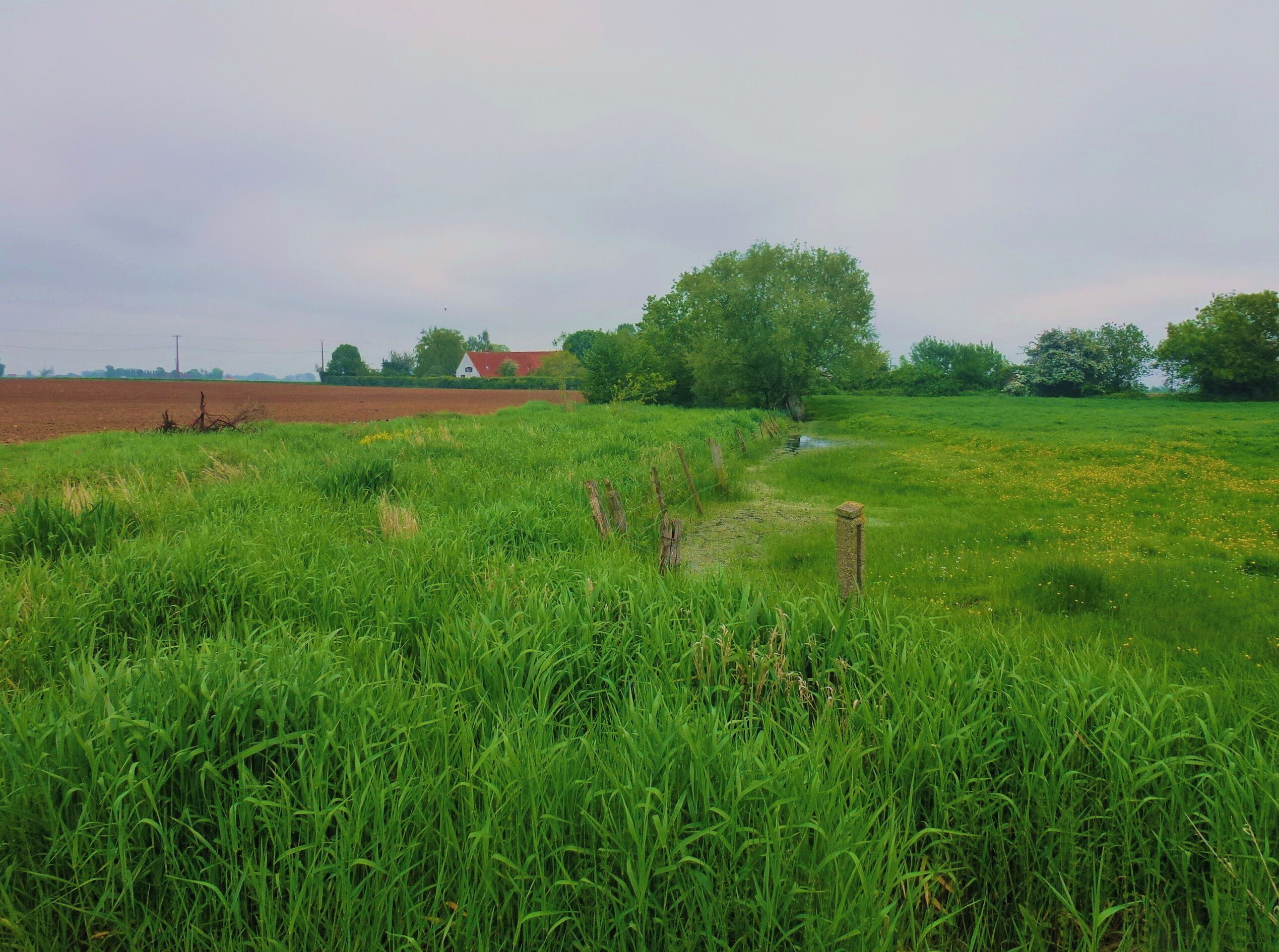 La Réserve naturelle régionale du vallon de la Petite Becque.- Le Circuit des 5 Becques Herzeele.- Nord (département français)