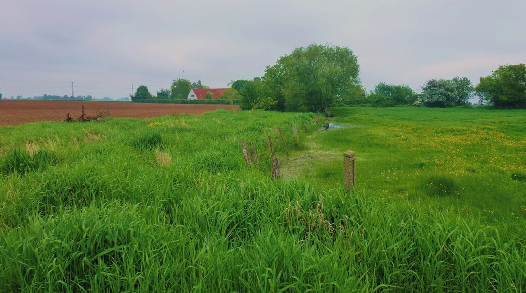 La Réserve naturelle régionale du vallon de la Petite Becque.- Le Circuit des 5 Becques Herzeele.- Nord (département français)