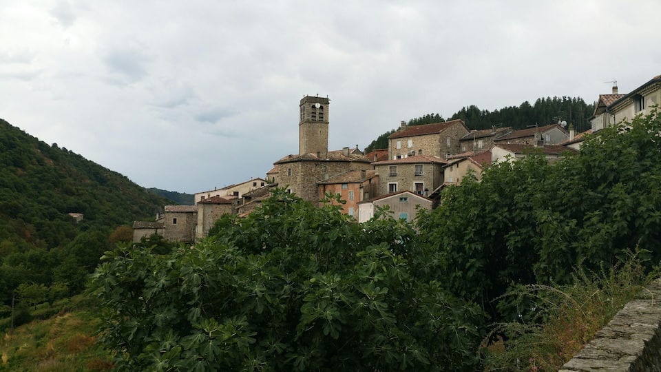 A village with stone buildings, a prominent tower, and lush greenery.