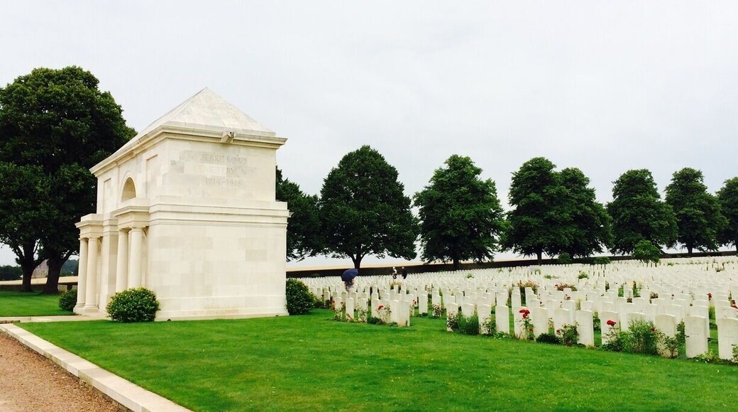 So many graves they needed two huge cemeteries.