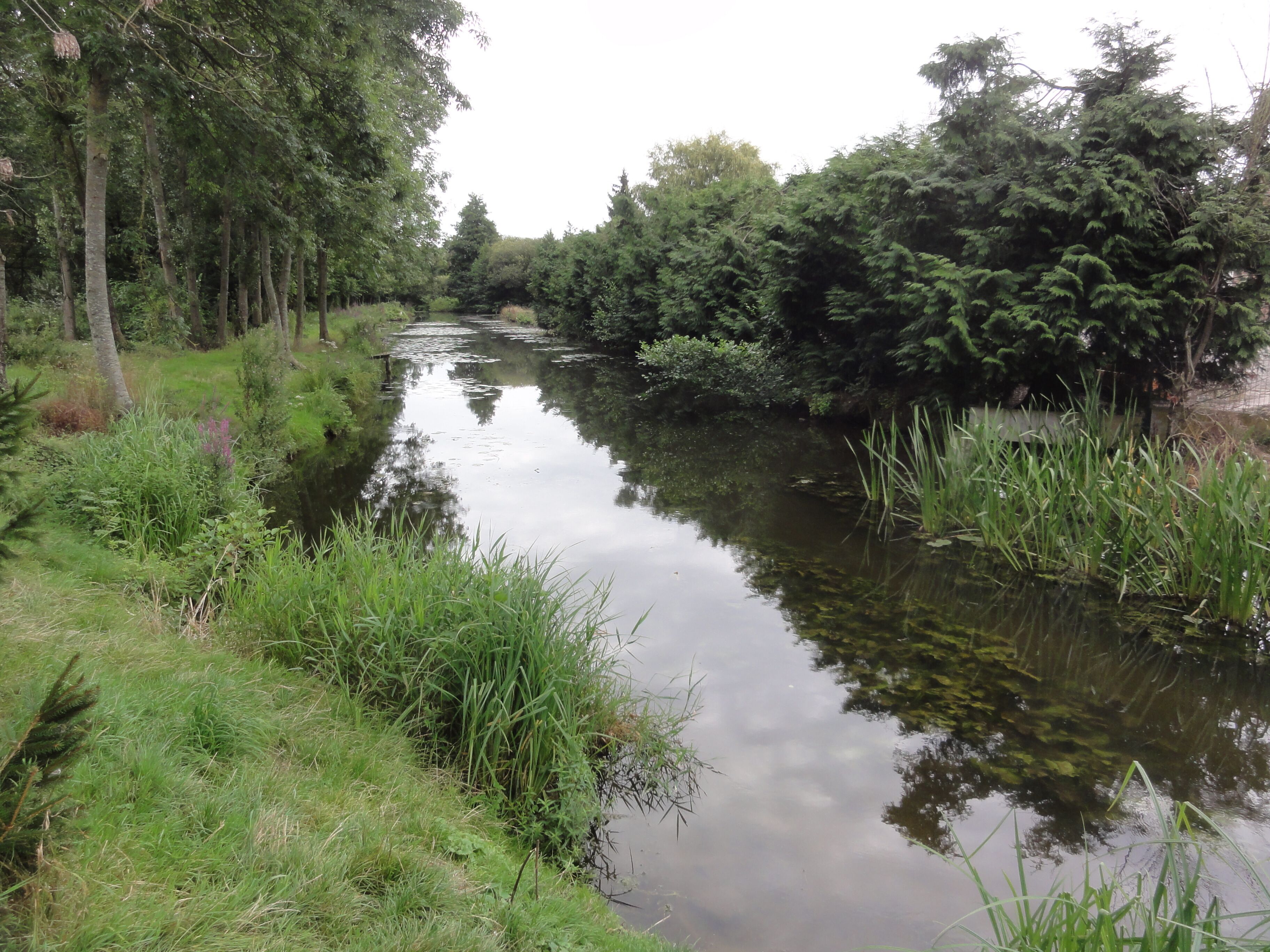 A calm river flanked by dense greenery and trees.