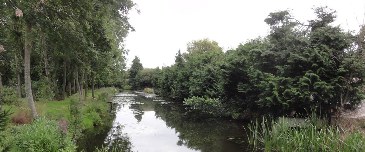 A calm river flanked by dense greenery and trees.