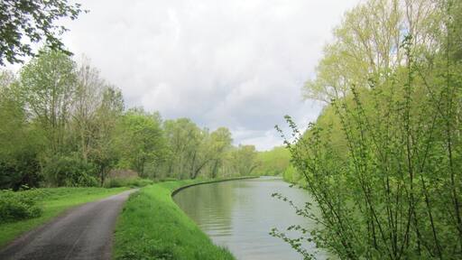 Un camino sinuoso bordeando un río tranquilo, rodeado de abundante vegetación y árboles.
