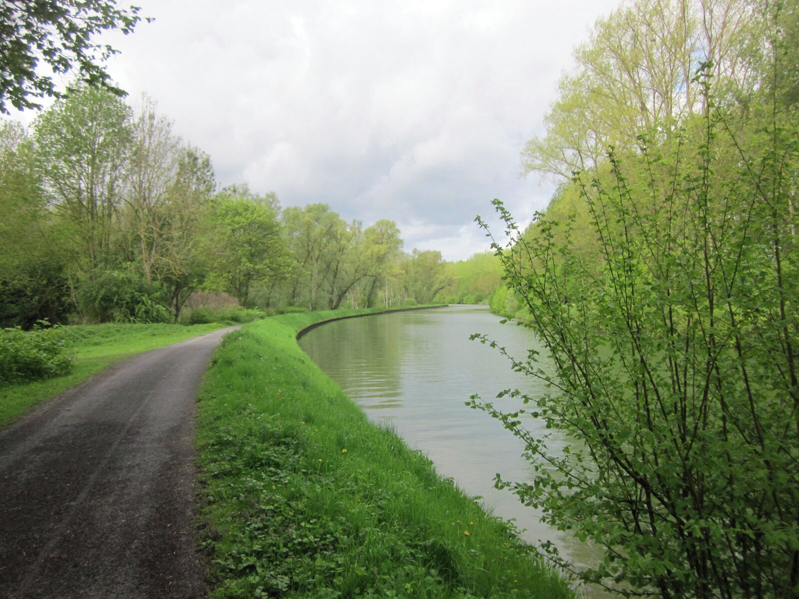 A narrow road curving alongside a calm river, surrounded by lush greenery and trees.