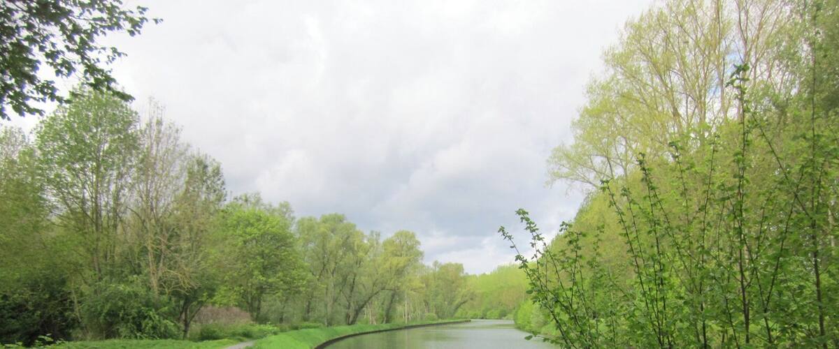 A narrow road curving alongside a calm river, surrounded by lush greenery and trees.