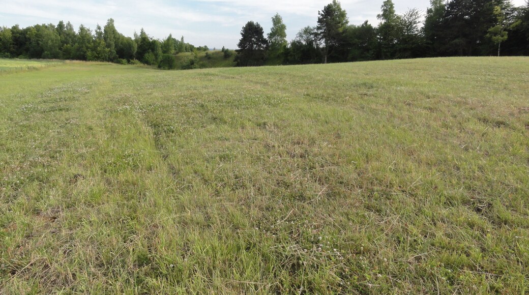 Saint-Thomas (Aisne) camp des Romains