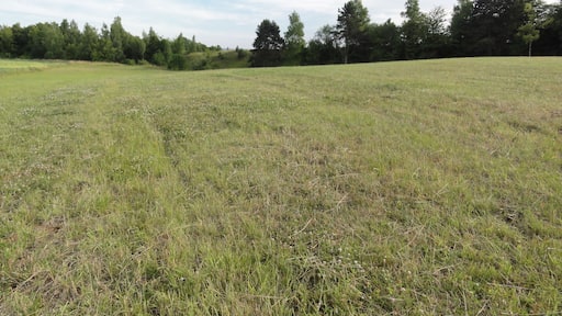 Saint-Thomas (Aisne) camp des Romains