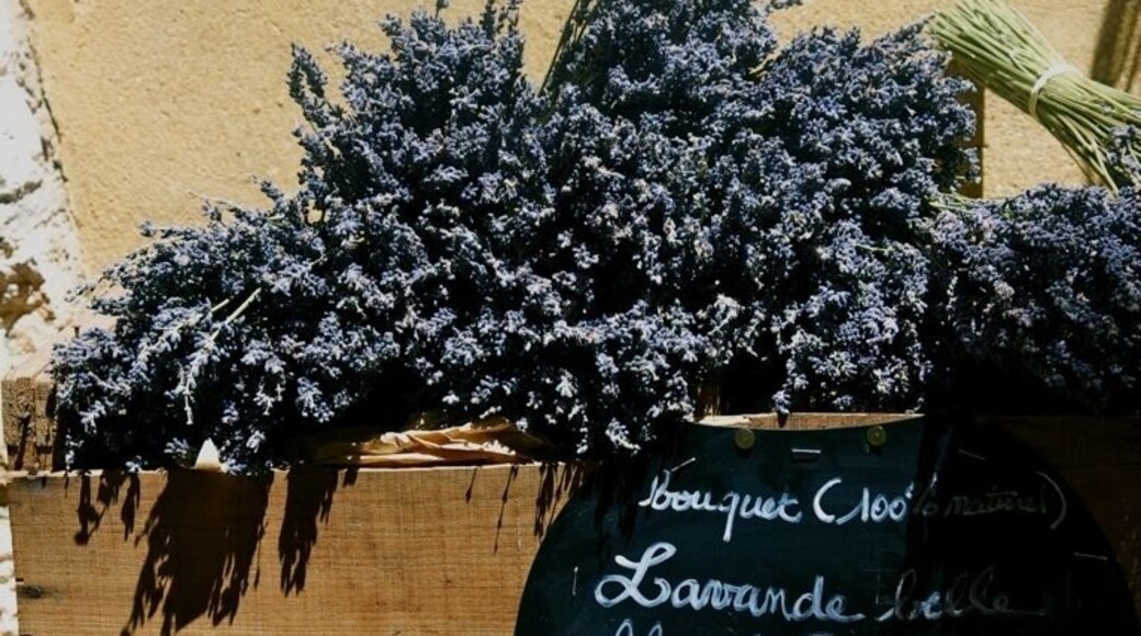 Lavender. A lot comes from Provence.