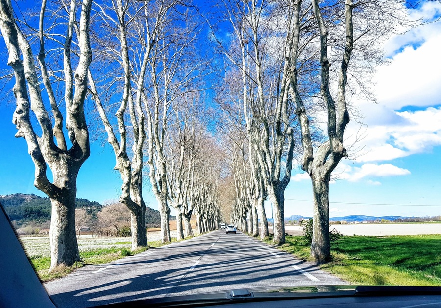Fantastic road trip