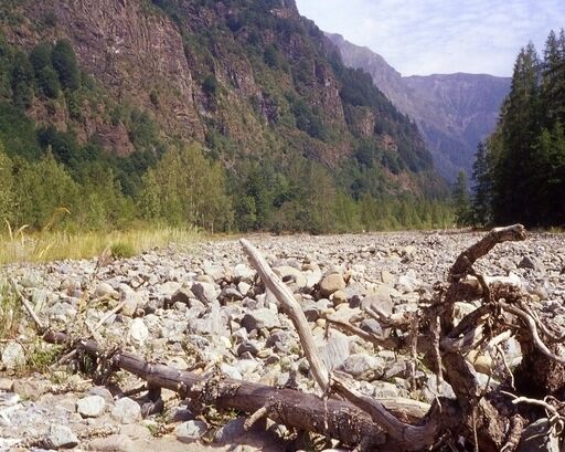 A rocky riverbed with a fallen tree in the foreground and mountains in the background.
