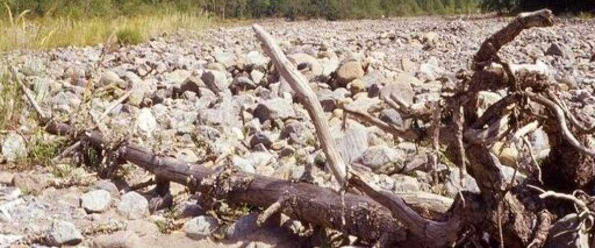 A rocky riverbed with a fallen tree in the foreground and mountains in the background.