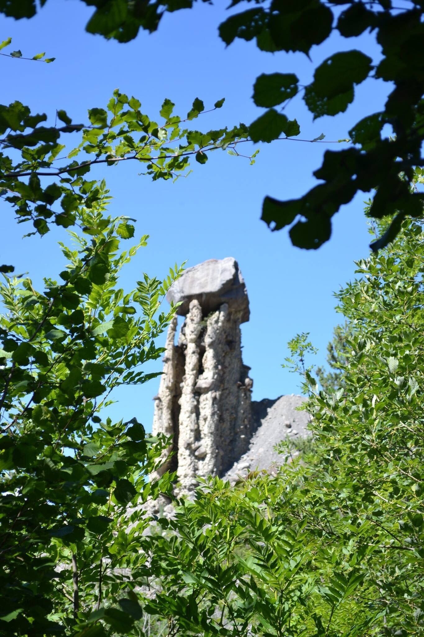 A stone structure with a flat top, surrounded by green foliage.