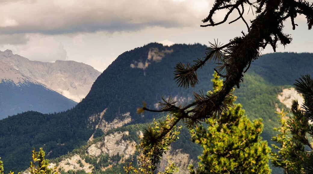 Massif du Dévoluy, massif du pic de Bure, Hautes-Alpes, Alpes-de-Haute-Provence, France