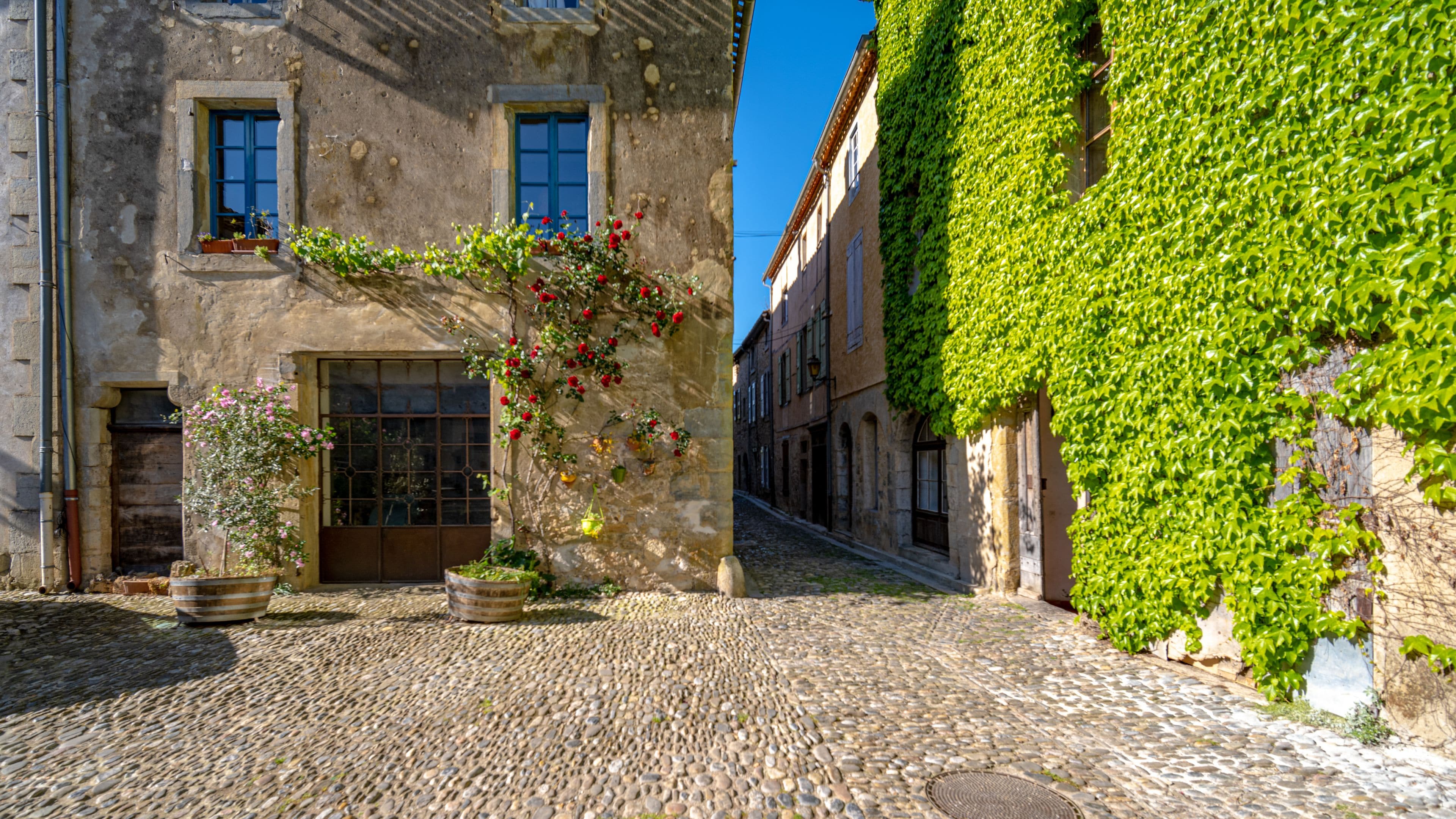 A cobblestone street with a building covered in green ivy, a stone wall with a window, and a flower pot with pink flowers.