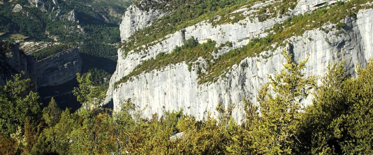 A mountainous landscape with prominent white cliffs and dense green forests.