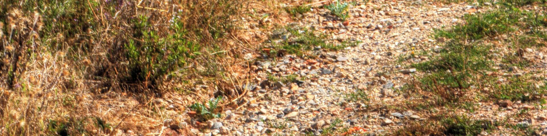 Ruine from Chateau de Malavielle,