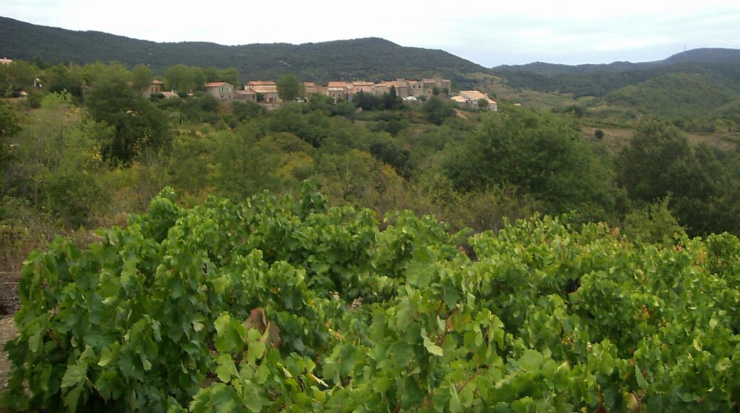 Quintillan, Vue depuis le nord-est