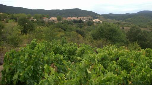 Quintillan, Vue depuis le nord-est