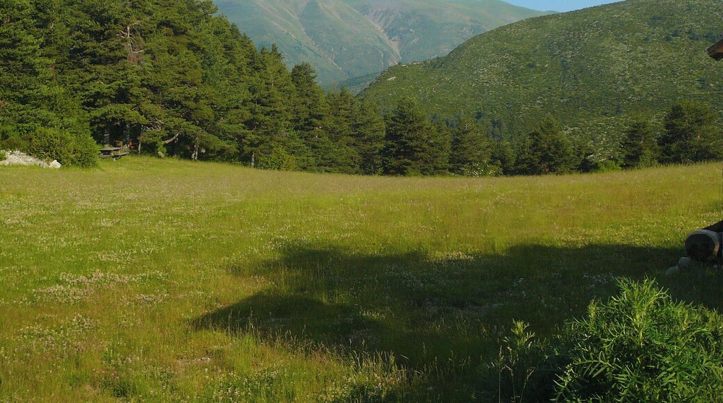 Col near Pierlas Village