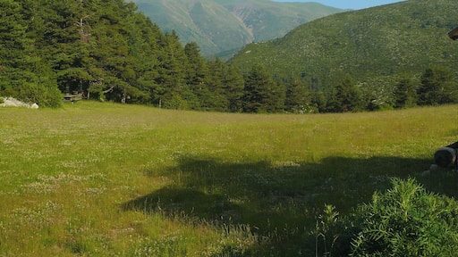 Col near Pierlas Village